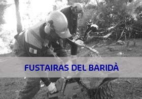 Boton para ir a la pagina del fustaire